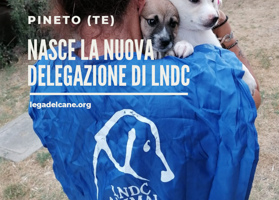 Pineto (TE) – Nasce la nuova Delegazione di LNDC