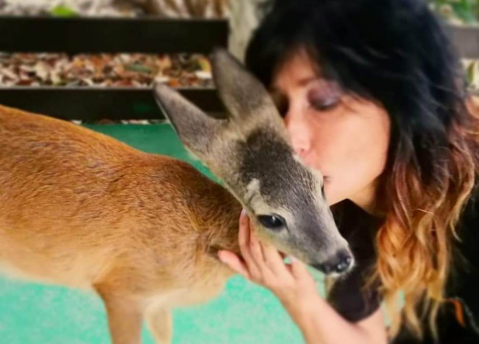 Diritti degli animali, l’orrore che si consuma quotidianamente