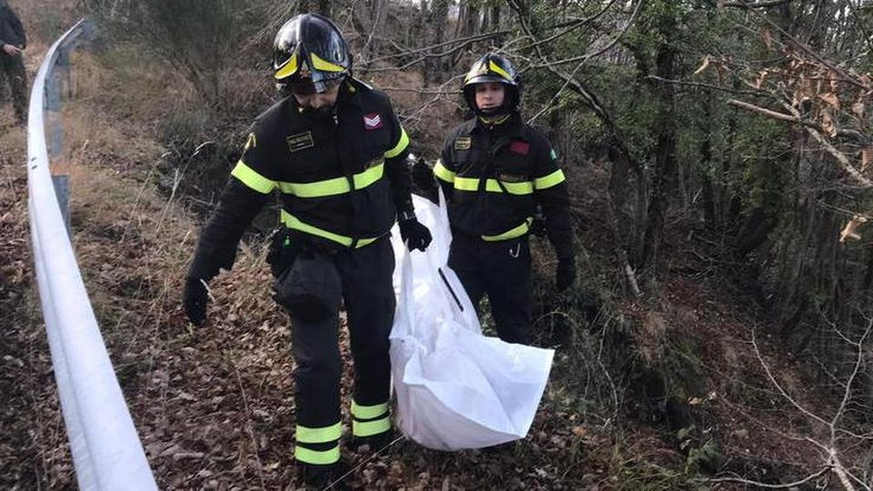 Arcidosso (GR) – Cane da caccia ucciso brutalmente