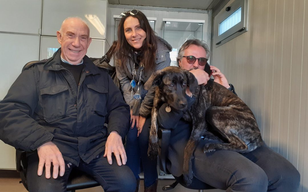 Milano – Sophie rischiava di morire ma è stata felicemente adottata