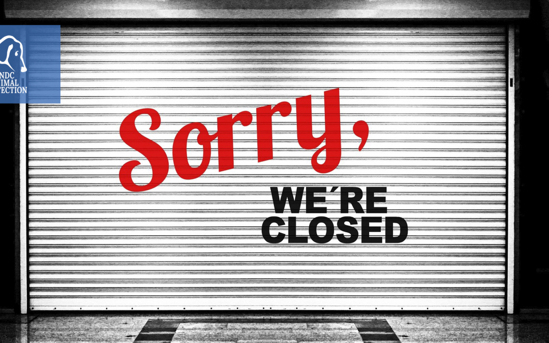 Coronavirus: chiusura temporanea Sede nazionale LNDC