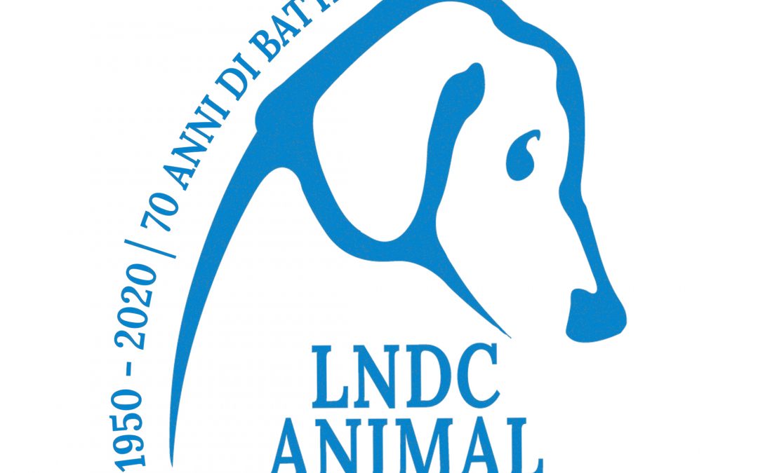 Coronavirus – Cani e gatti non sono un rischio