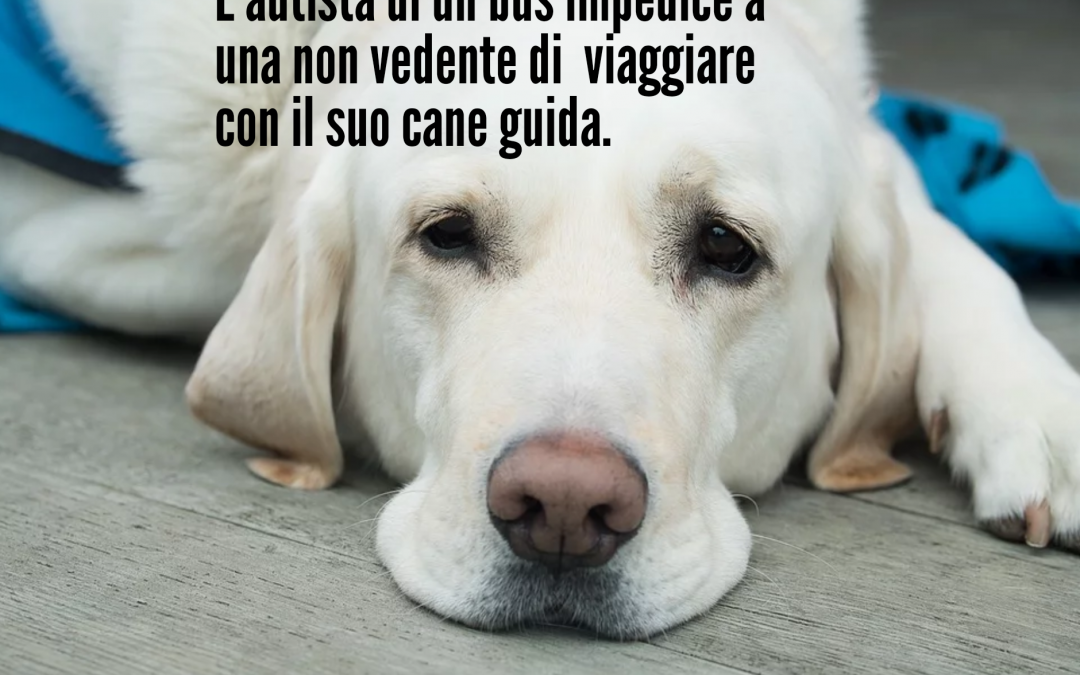 LNDC scrive a TUA SpA sui cani guida