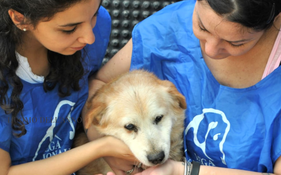 Emergenza coronavirus e animali – LNDC fa il punto della situazione sul territorio italiano