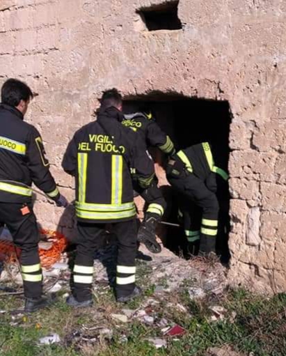 Canosa (BAT) – Un aiuto per Zeus