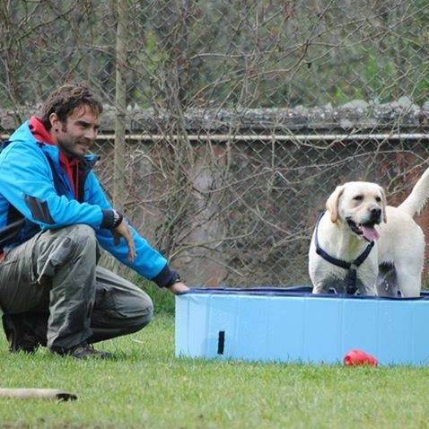 Ti prego, non andare!