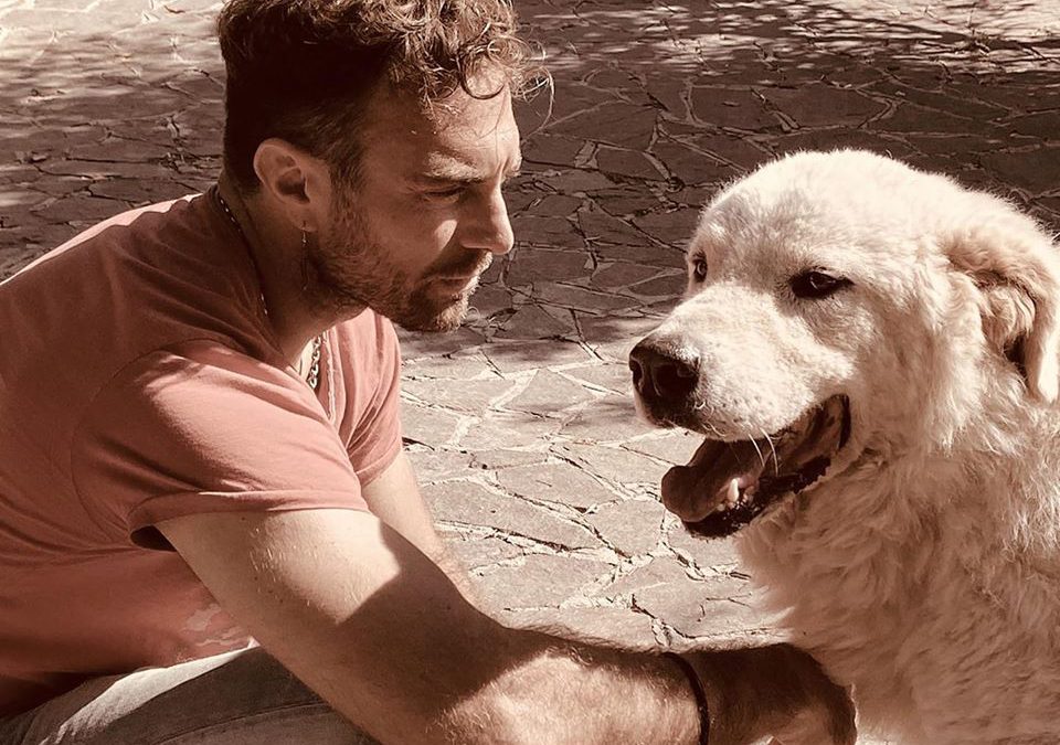 LNDC al servizio dei cittadini – Scrivi al dogtrainer