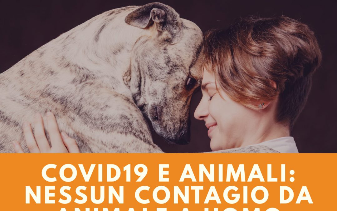 Covid-19 e animali – Nessun contagio da animale a uomo