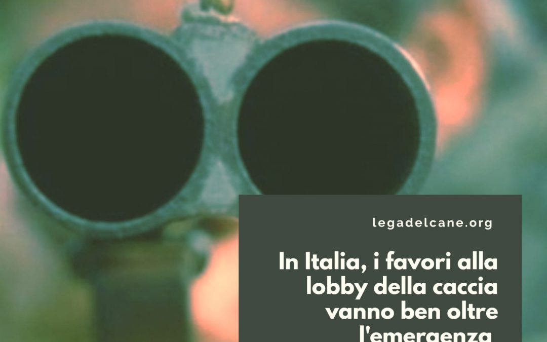 In Italia, i favori alla lobby della caccia vanno ben oltre l’emergenza.