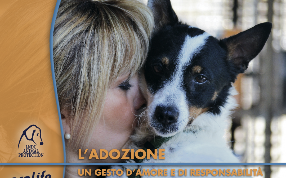 LNDC e Prolife insieme per l’adozione consapevole