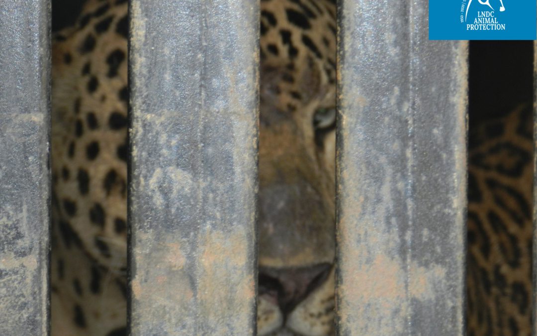 LNDC cofirmataria di una lettera all’OMT per un turismo responsabile