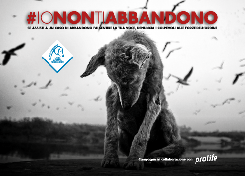 #IONONTIABBANDONO – LNDC e Prolife lanciano l’allarme abbandono: più di 10.000 animali soccorsi durante l’emergenza Covid
