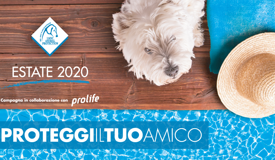 Estate 2020 – Proteggi il tuo amico dal caldo