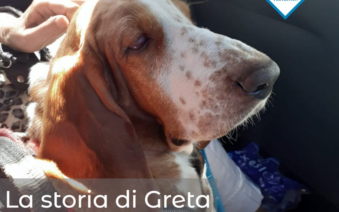 Venezia – Un aiuto per Greta