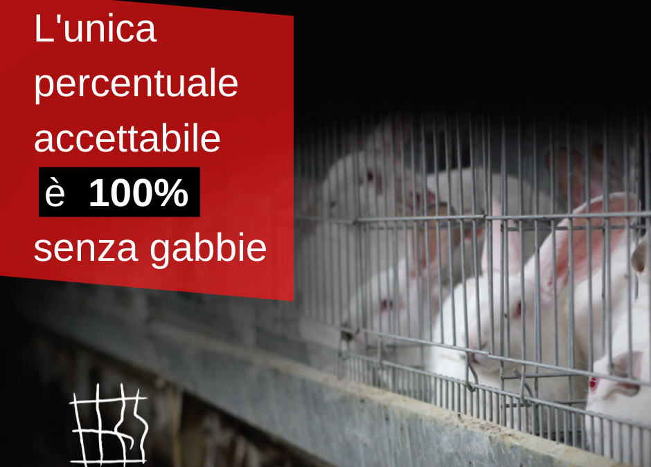 Allevamenti: Italia al 17° posto in UE per percentuale di animali in gabbia