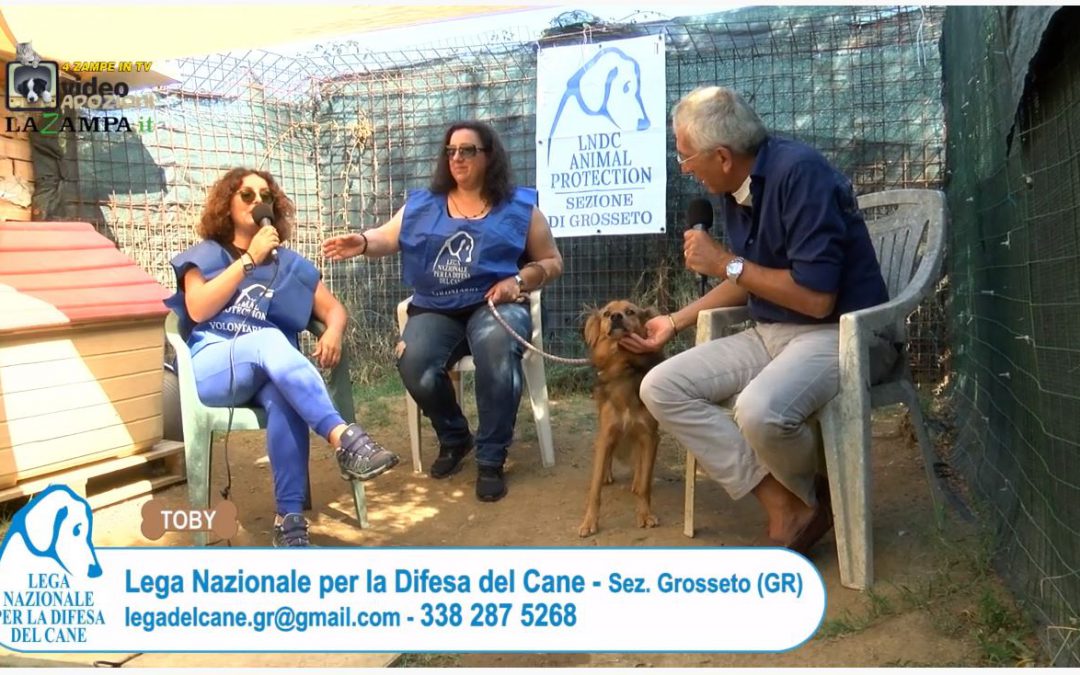 4 Zampe in TV dagli attivisti LNDC di Grosseto