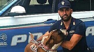 Abruzzo, boxer abbandonato sull’A24