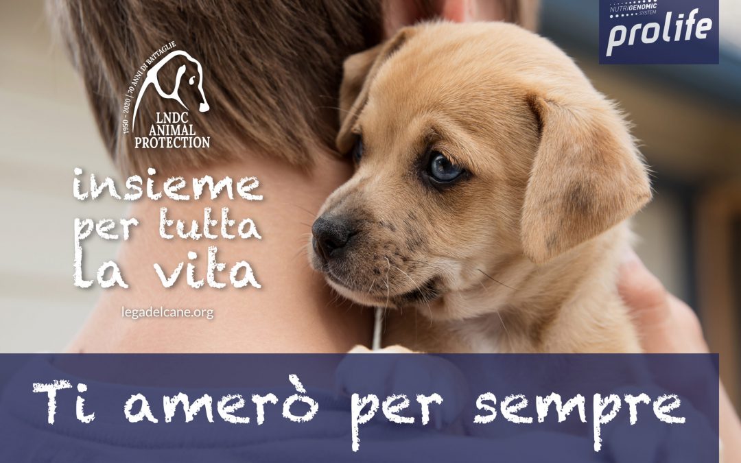 #tiameròpersempre – Adotta un cucciolo e partecipa al contest video