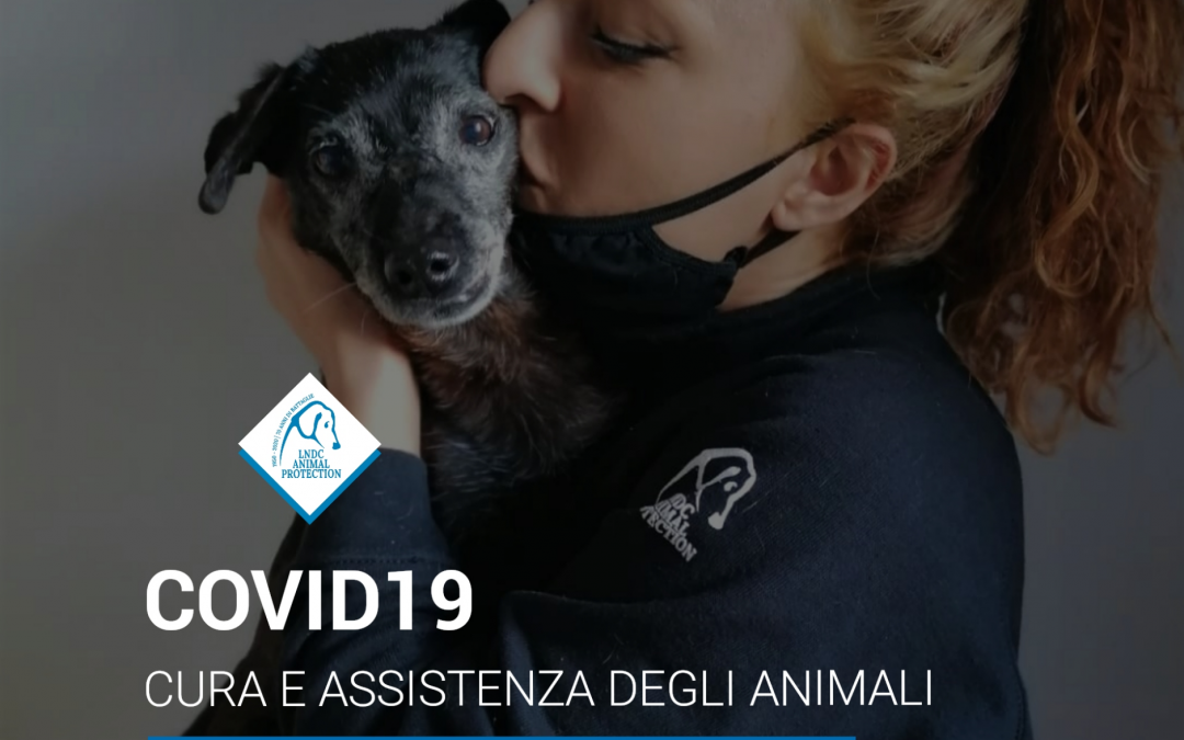 Nuova emergenza Covid-19: la cura e l’assistenza degli animali