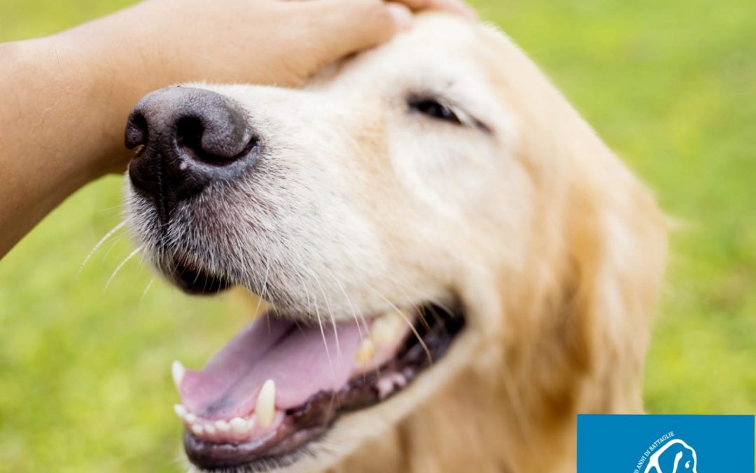 Covid-19 – Ancora disinformazione sulla pelle degli animali