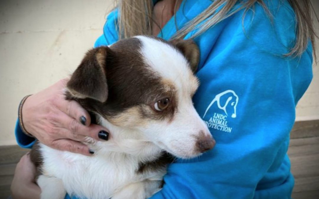 Nuova emergenza Covid-19: cosa devono sapere i cittadini?