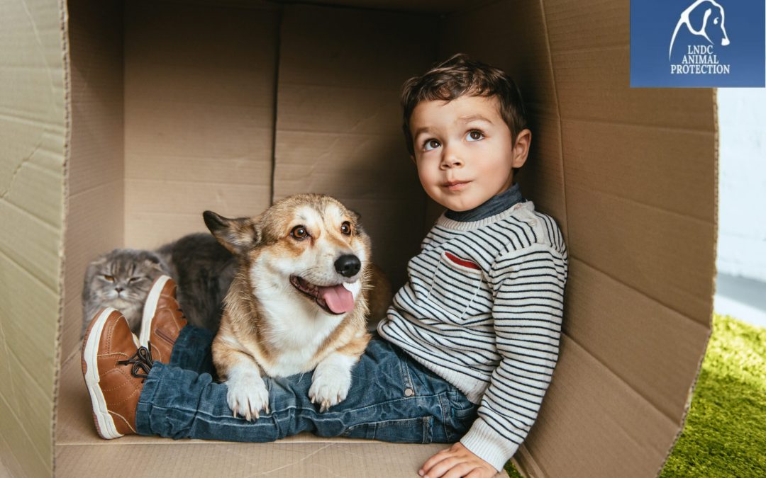 Telefono Azzurro lancia uno spot vergognoso