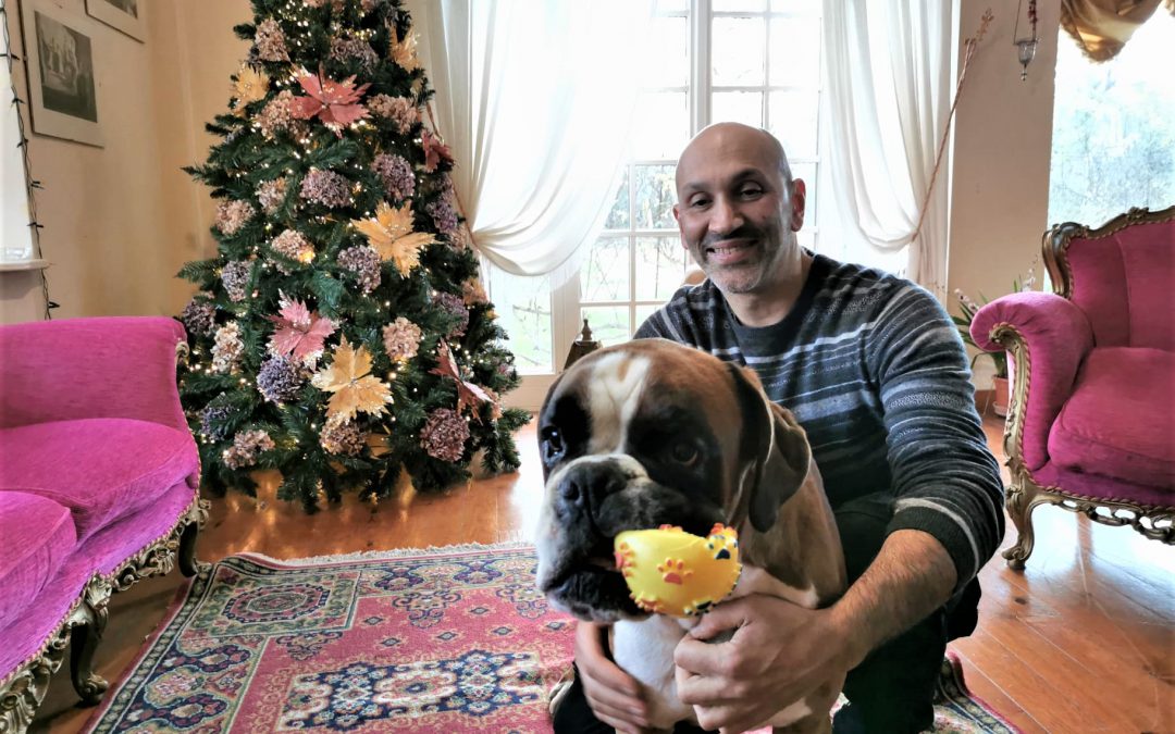 L’Aquila – Lieto fine per Ettore, il boxer abbandonato sulla A24