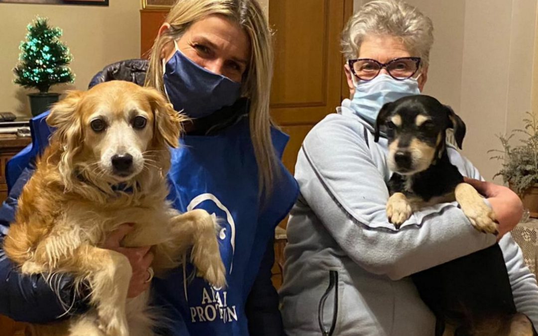 Roma – La favola di Natale di Nina e Rocky