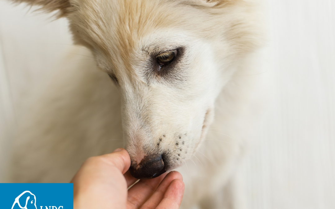 LNDC scrive al Questore di Vicenza