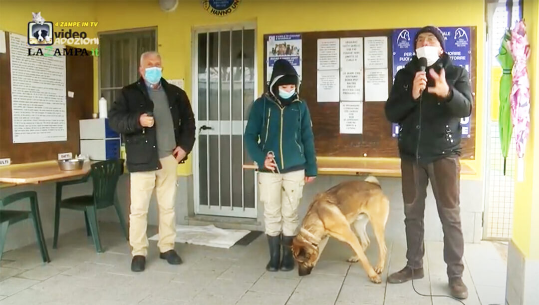 4 Zampe in TV al Rifugio LNDC di Caluso (TO)