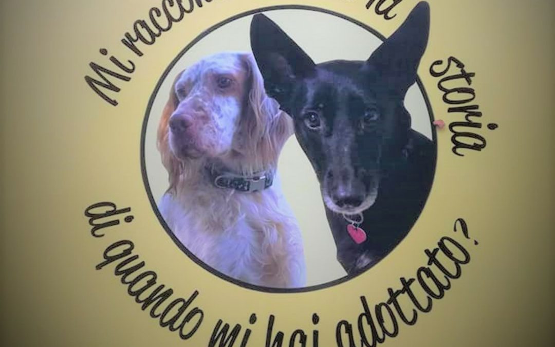 LNDC scrive ai Presidenti delle Regioni del sud