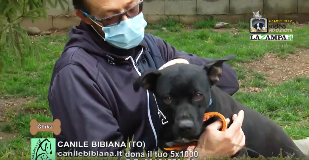 4 Zampe in TV al Rifugio LNDC di Valpellice (TO)/6