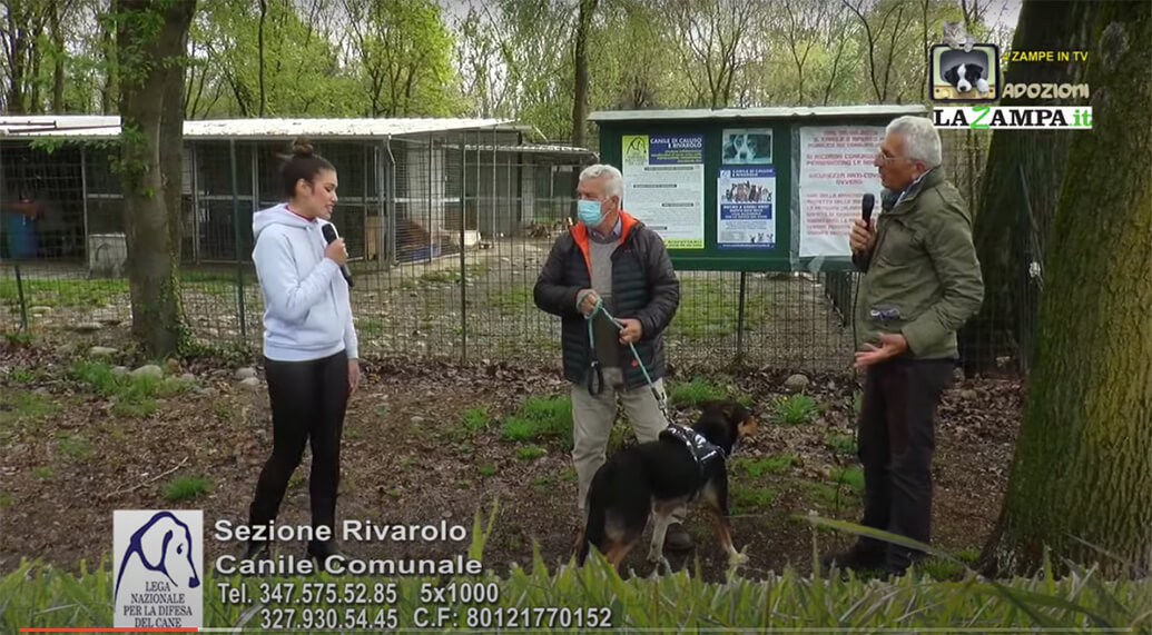 4 Zampe in TV al Rifugio LNDC di Ivrea – Rivarolo (TO)/1