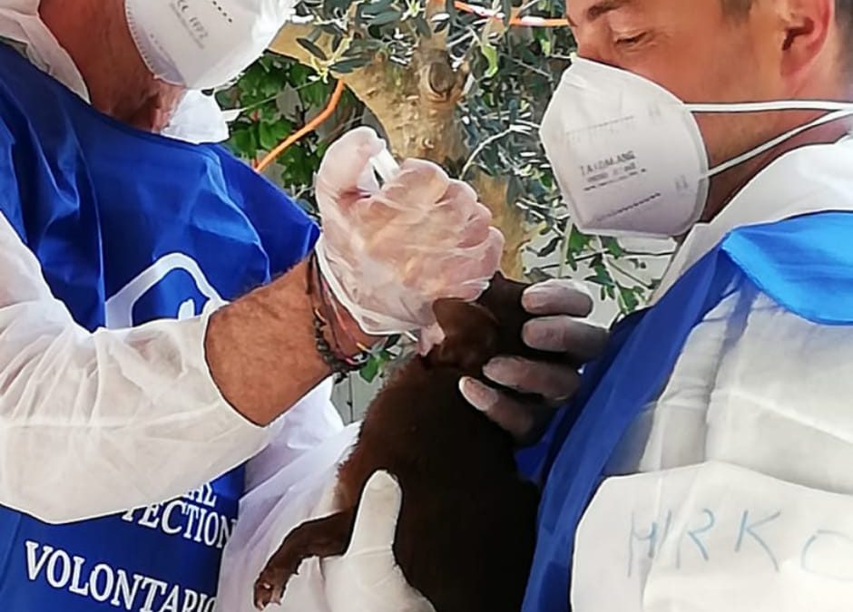 Sequestro allevamento Trecastelli