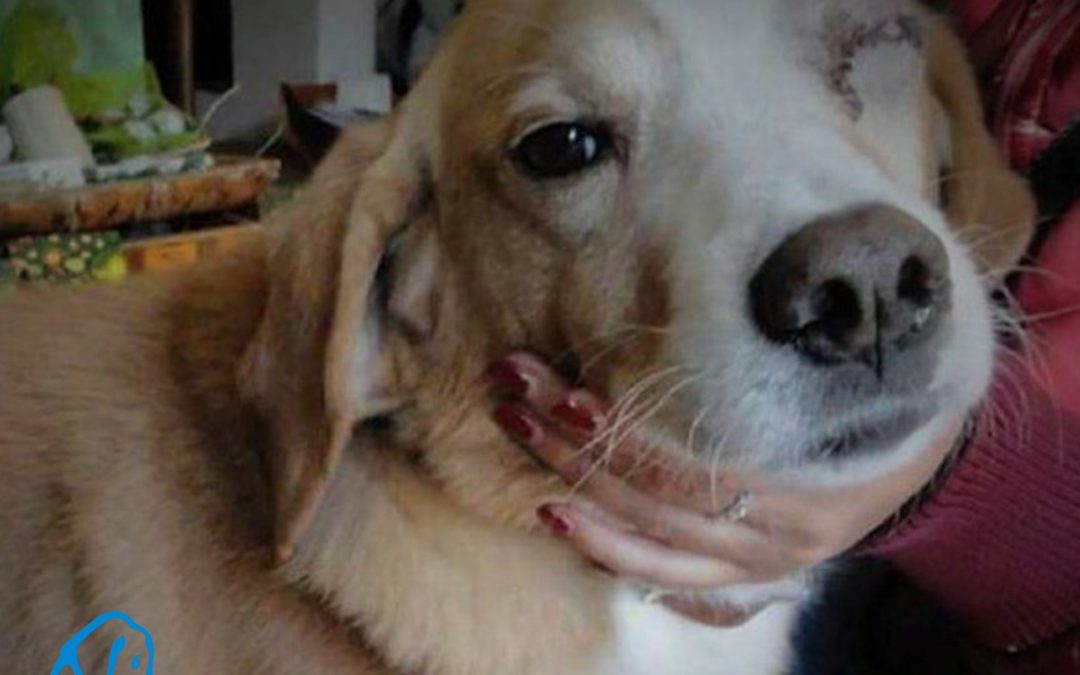 LNDC parte civile nel processo contro l’assassino di Giacomo