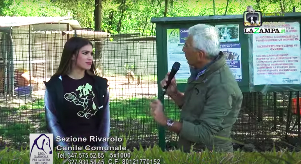 4 Zampe in TV al Rifugio LNDC di Ivrea – Rivarolo (TO) – Puntata 2