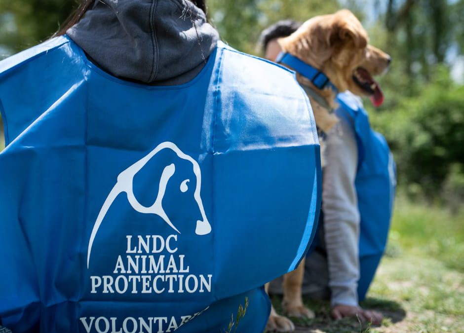 Pakistan – Incontro tra LNDC e l’Ambasciata