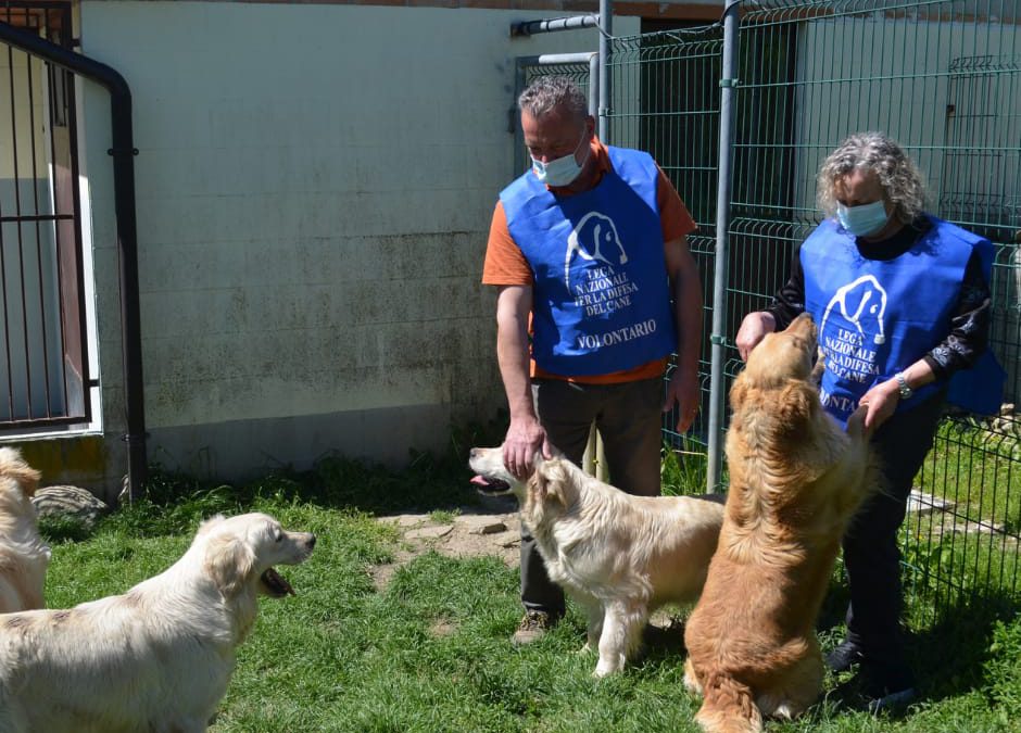 Piacenza, sequestrati 9 cani. LNDC: ora cercano casa