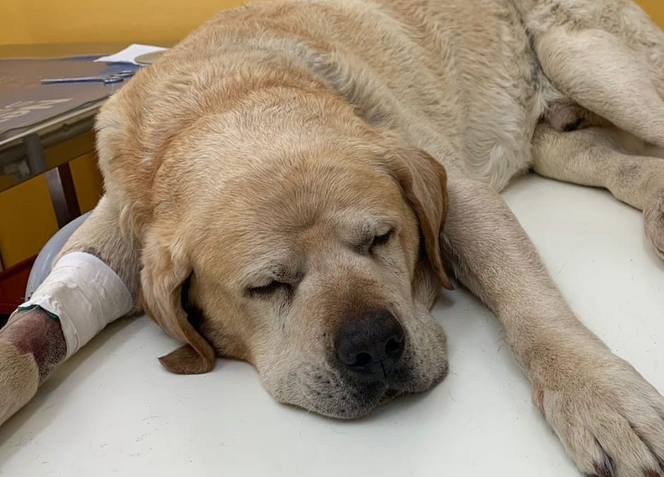 Aprilia (LT) – Caccia al killer di Birillo