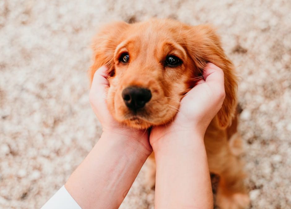 LNDC scrive al Sindaco di Casalbuttano ed Uniti (CR)