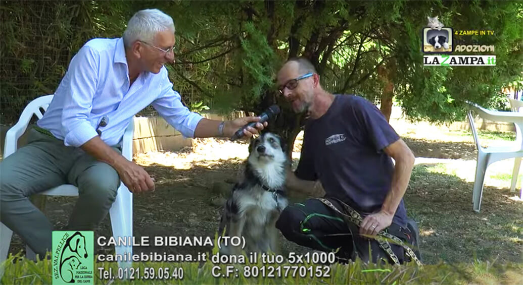 4 Zampe in TV al Rifugio LNDC di Valpellice (TO) – Puntata 8