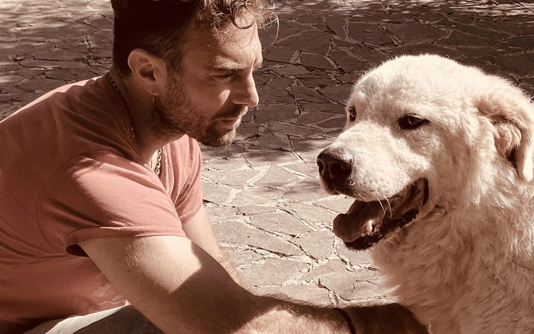 LNDC in Senato per il DDL sulle professioni cinofile