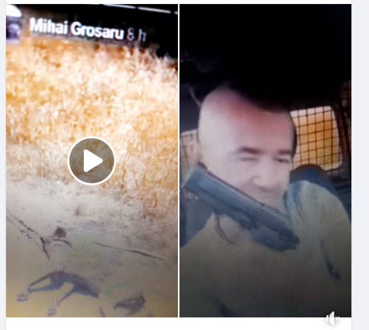 Mazara del Vallo (TP) – Spara a un cane e lo trascina con l’auto. LNDC denuncia