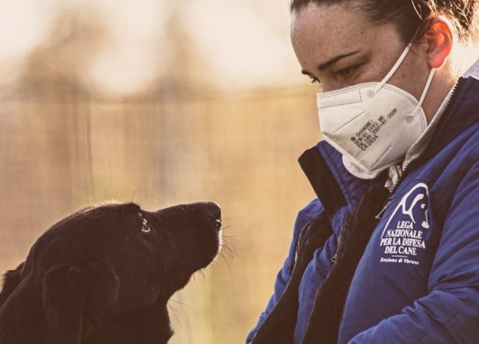 Varese – LNDC scrive al Sindaco in merito al canile comunale