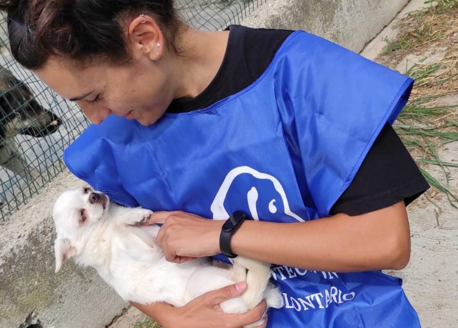 Inizia il processo per l’allevamento di Trecastelli (AN)