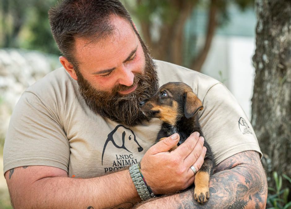 Attivo il servizio “SOS Agosto” – LNDC e Zampy Life insieme per proteggerli