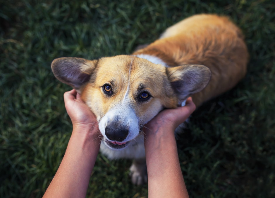 I traguardi raggiunti insieme