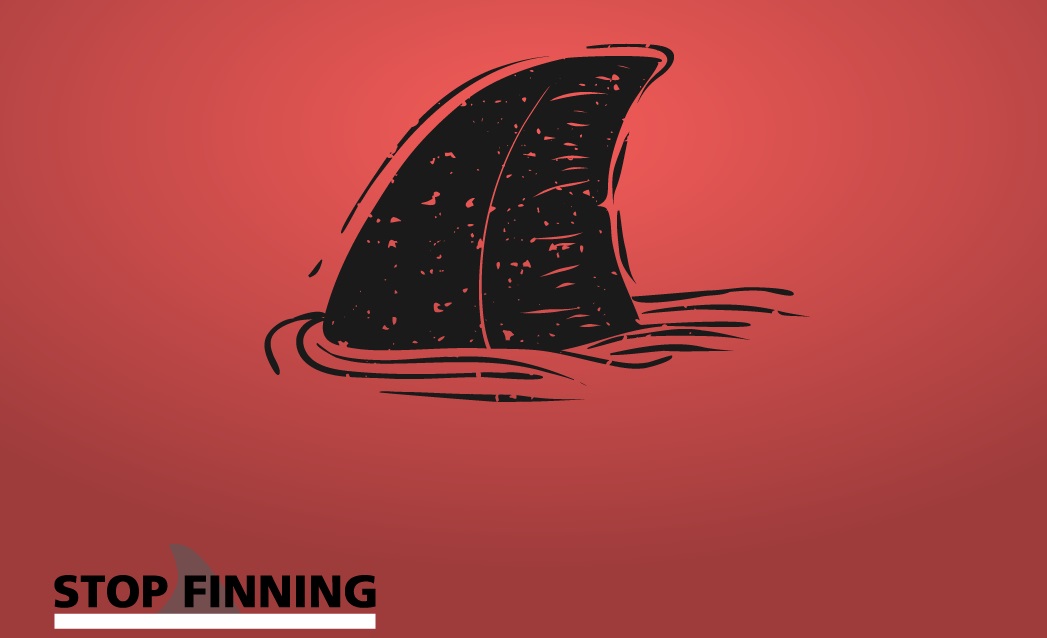 LNDC Animal Protection sostiene #stopfinningEU