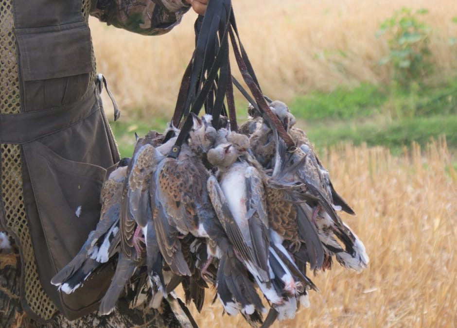 Sicilia, TAR Catania sospende apertura della caccia