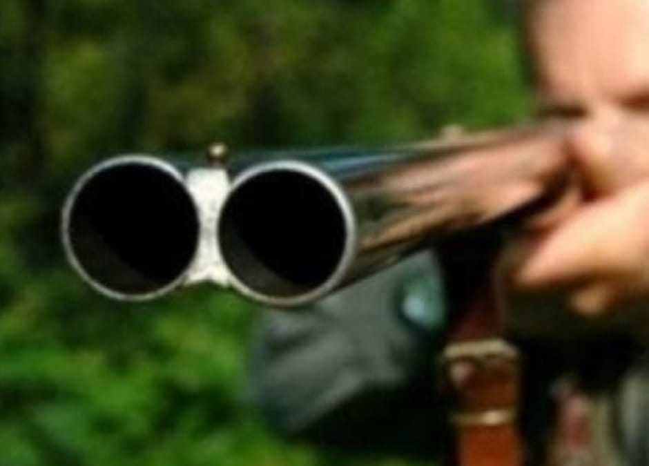 TAR Sardegna sospende preapertura caccia alla tortora